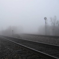 Fog in the morning