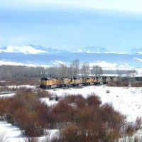 WB coal empties west of Granby, CO