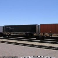 TWLZ 2159b