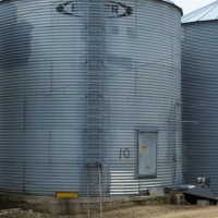 Grain Bins planted in ground