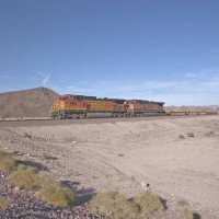 DSCN5546