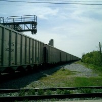 CSX Coal Train in Selma, NC