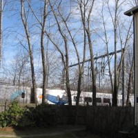 Acella_over_the_fence_and_through_the_trees