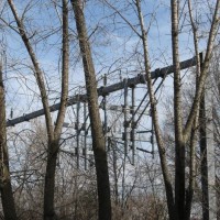 Over_head_catenary_support_through_the_trees