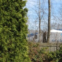 Over_the_fence