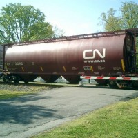 CN in NC