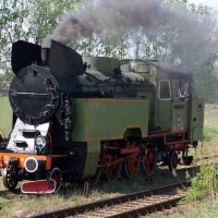 Steam Locomotives' Parade, Wolsztyn, Poland, 2007