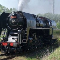 Steam Locomotives' Parade, Wolsztyn, Poland, 2007