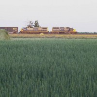 CSX 8428 & 7503