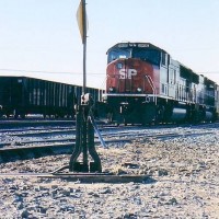 SP 9816