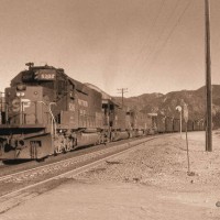 SP #8306 at West Canyon