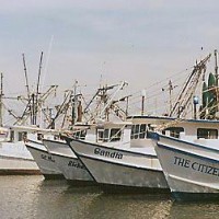 shrimpboats