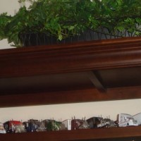 DSC00592
