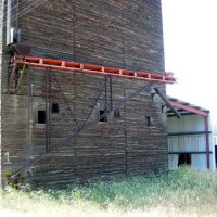 grain - Stanfield, Oregon