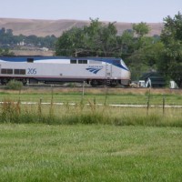 Amtrak 205
