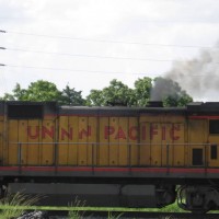 UNNN Pacific