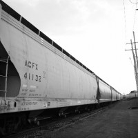 Hopper Cars In The Sunset