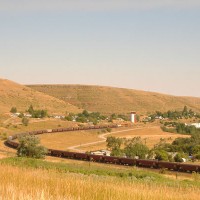 Grain train at Belt, MT