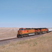 Grain train east of Great Falls, MT