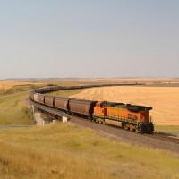 Grain train east of Great Falls, MT