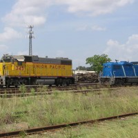 Geeps
