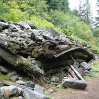 Rogers Pass
