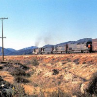 Southern Pacific On The Cutoff