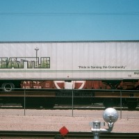 BNZ_Seattle