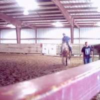 A horse of a different color (and Breed).