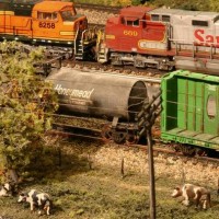 Railfan Cows_BNSF Ella Taylor Sub