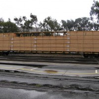 Load of Lumber