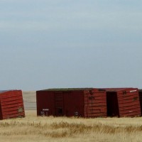 Out to Pasture...