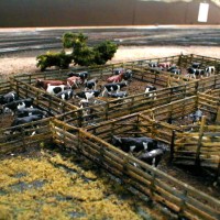 Belmont Shore Cattle Pens