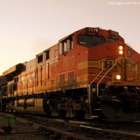 Stack Train At Dusk