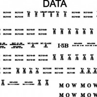 B&O Decals Data Closeup
