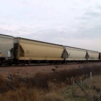 CN 2244, 2146 North - YouTube