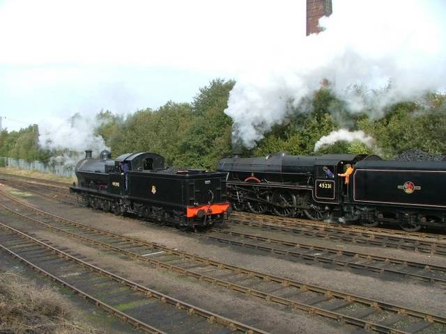 49395 and 45231
