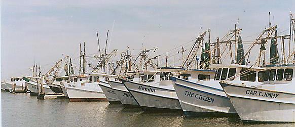 shrimpboats